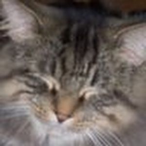 Meet your Posher, Carly